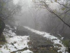 iphone_upload_pic-阳台山自然风景区