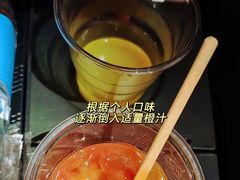 -新加坡航空公司(ION)