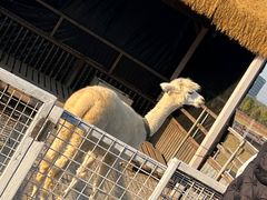 -栖露营camping·天幕烧烤·团建拓展·采摘营地