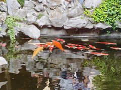 -鲤院·新中式美学·庭院餐厅(夫子庙店)