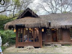 -中国茶叶博物馆(双峰馆区)