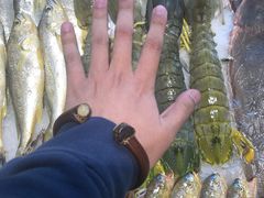 -小厨师·二十年沈家门小海鲜(百井坊巷店)