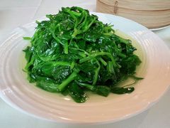 上汤豆苗-利苑酒家(金宝店)