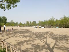 -东郊湿地公园