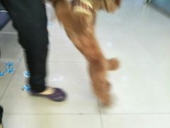 -宠颐生中康贝怡动物医院