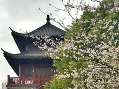 -堤角公园