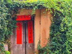 -杨家堂村