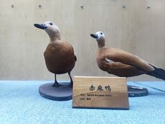 -陕西自然博物馆