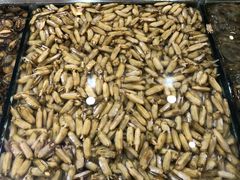 -孙家码头海鲜自助美食城