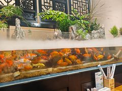 -舟小鲜·舟山小渔村(凤城四路中登广场店)