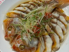 -老班长·小龙虾·鲜货烧烤大排档(金街美地店)