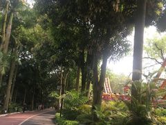 -南宁南湖公园