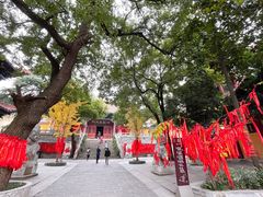 景点-宝通禅寺