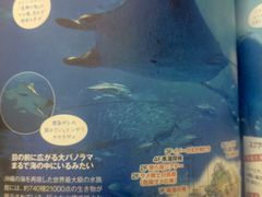 -日本大使馆-新闻文化中心