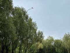 -长春世界雕塑园