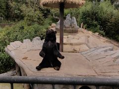 -云南野生动物园