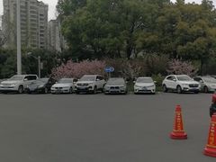 -大宁郁金香公园-停车场