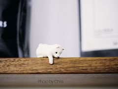 -Onirii Coffee(长乐路店)