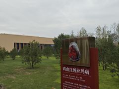 -北京大葆台遗址博物馆