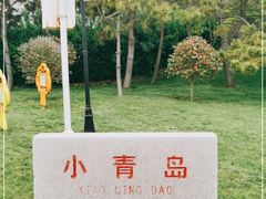 -青岛海滨风景区小青岛