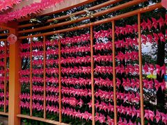 -广州神农草堂中医药博物馆