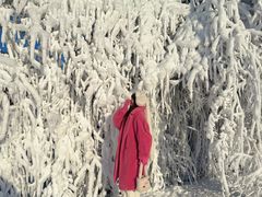 -东北亚滑雪场