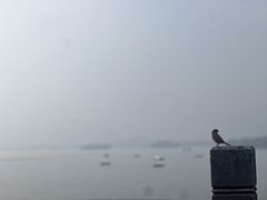 -湖畔居茶楼(湖滨店)