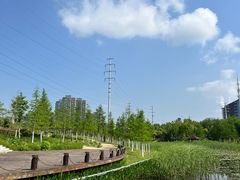 -四里河滨水生态公园