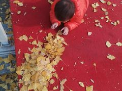 -两江幸福广场