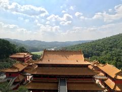 -东莞市大岭山森林公园