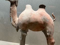 -敦煌市博物馆