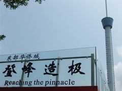 psu&nbsp;(24)-东部华侨城