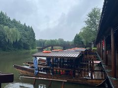 -溱湖国家湿地公园