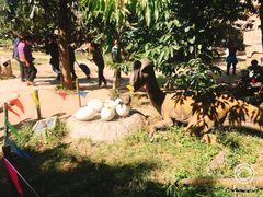 -西安秦岭野生动物园