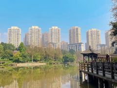 -龙头寺公园