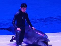 -华夏文旅海洋公园