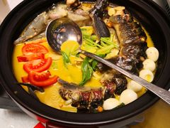 -饭怕鱼·黄焖鲟龙鱼(湖大店)