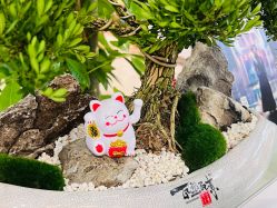 -同远QQBABY亲子摄影(北京路店)