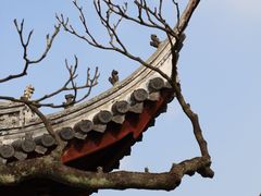 -龙华寺