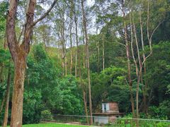 -火炉山森林公园