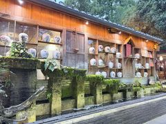 -青城甲(青城山店)