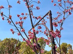 -上海野生动物园