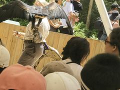 -可伦宾野生动物保护区