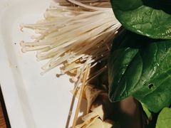 -佰人王串串香火锅(洋珠巷店)