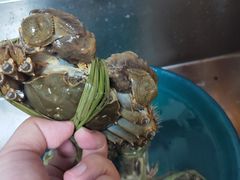 -芸海阁·农家私房菜(沙家浜景区出口店)