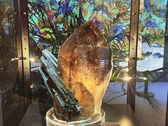 -天津梅江会展中心