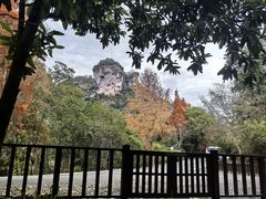 -武夷山风景名胜区-玉女峰