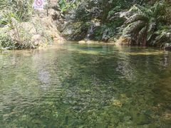 -南海湾森林生态园