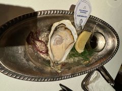 法国古娜朵生蚝-领仕扒房(长春店)