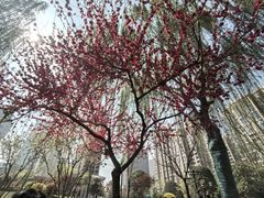 -木塔寺遗址生态公园